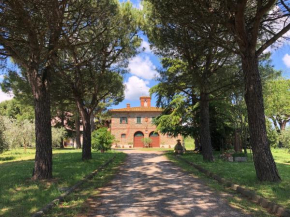 Casa Il Ceppo Arezzo